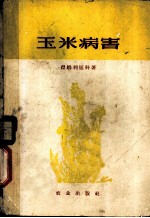 玉米病害