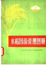 水稻因苗管理图册