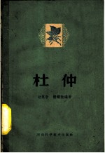 杜仲