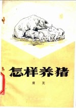 怎样养猪