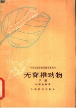 无脊椎动物 下