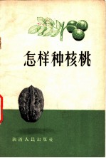 怎样种核桃