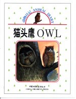 猫头鹰