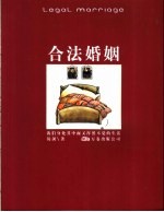 合法婚姻 我们身处其中而又浑然不觉的生活
