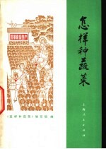 怎样种蔬菜