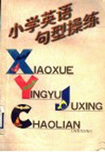 小学英语句型操练