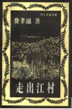走出江村