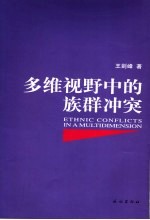 多维视野中的族群冲突