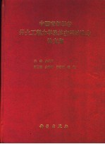 中国青年学者岩土工程力学及其应用讨论会论文集