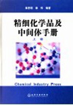 有机中间体手册 精细化学品技术进展