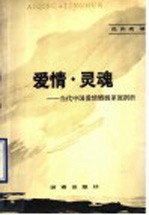 爱情·灵魂 当代中国爱情婚姻家庭剖析