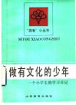 做有文化的少年 一个小学生的学习日记