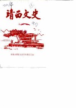 靖西文史资料 第3辑
