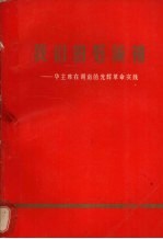 我们的好领袖:华主席在湖南的光辉革命实践
