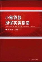 小额贷款担保实务指南