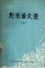刑法论文选 上