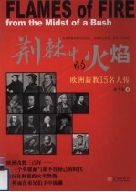 荆棘中的火焰 欧洲新教15名人传