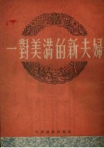 一对美满的新夫妇