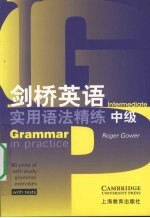 剑桥英语实用语法精练 中级