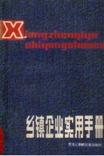乡镇企业实用手册