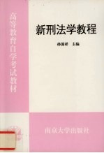 新刑法学教程