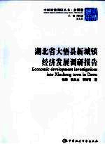湖北省大悟县新城镇经济发展调研报告