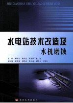 水电站技术改造及水机磨蚀
