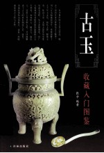 收藏入门图鉴凤凰壹力 古玉