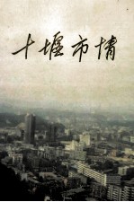 十堰市情