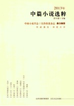 2013年中篇小说选粹