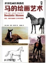 世界绘画经典教程 马的绘画艺术
