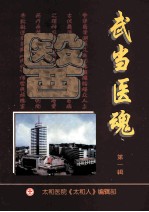 武当医魂 第1辑