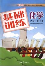 化学基础训练 九年级 上下