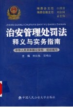 治安管理处罚法释义与实务指南
