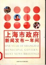 上海市政府新闻发布一年间