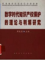 数字时代知识产权保护的理论与判解研究
