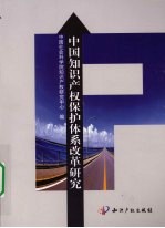 中国知识产权保护体系改革研究
