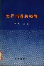 怎样当县级领导