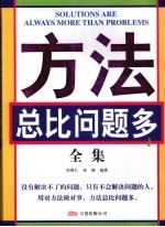 方法总比问题多全集