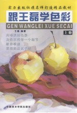 跟王磊学色彩 上