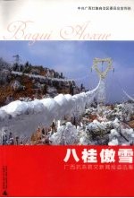 八桂傲雪 广西抗冻救灾新闻报道选集