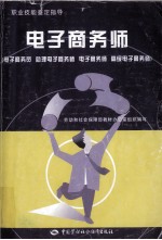 电子商务师 电子商务员 助理电子商务师 电子商务师 高级电子商务师