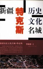 新疆历史文化名城 特克斯