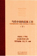 当代中国的民族工作 下