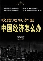 欧债危机加剧,中国经济怎么办