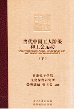 当代中国工人阶级和工会运动 下