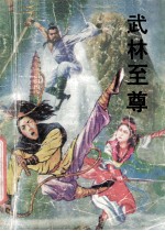 武林至尊 上