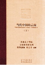 当代中国的云南 下