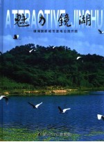 魅力镜湖 镜湖国家城市湿地公园开园