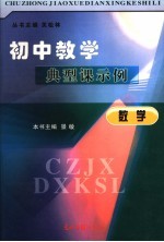 初中教学典型课示例 数学